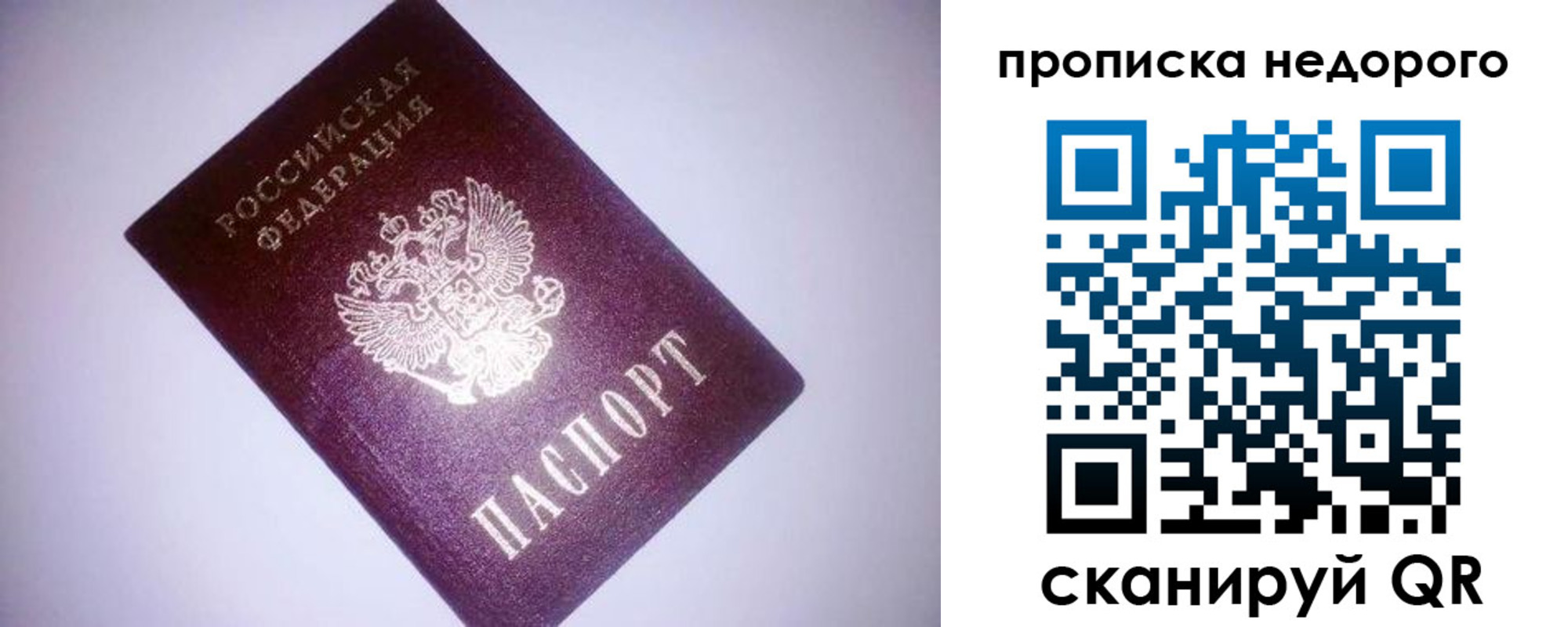 прописка для школы в Светогорске